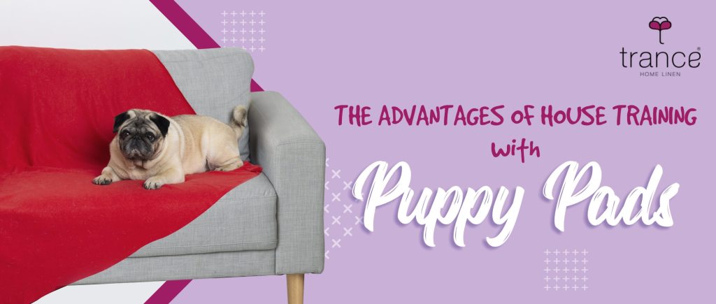 Know about advantages of house training with puppy pads